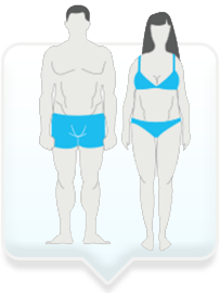 Endomorph